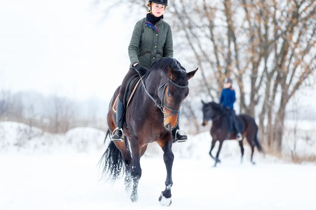Ung kvinna rider på häst i vinterpark på snön.
