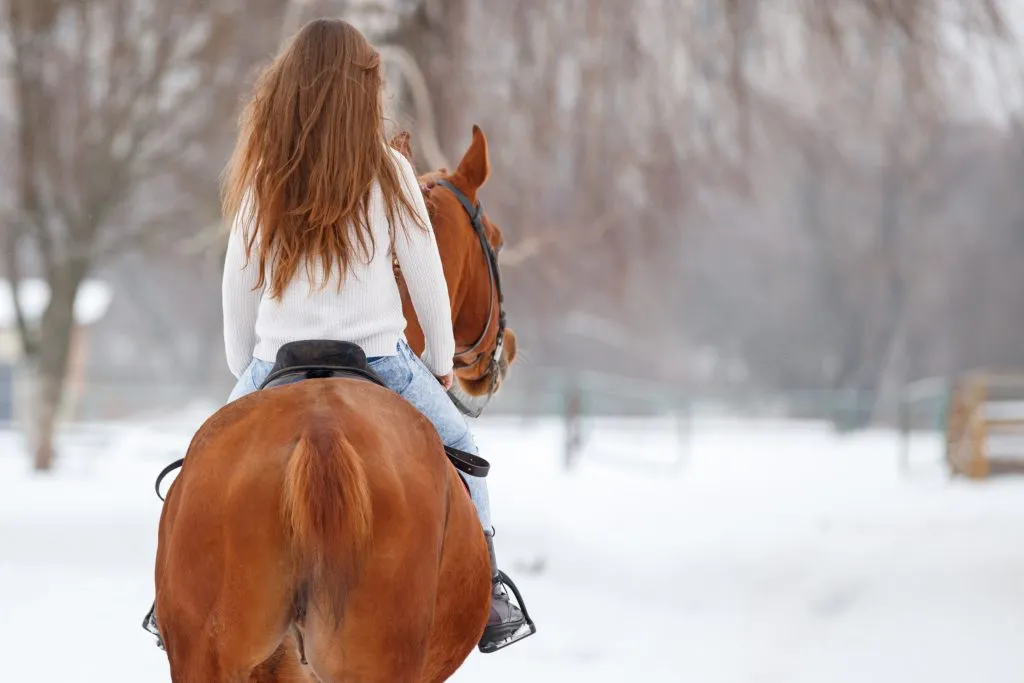 Chica joven con el pelo largo y rizado montando a caballo en el campo de invierno